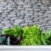 Ranking the Most Nutrient – Dense Leafy Vegetables